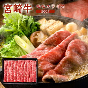 [~`N]  {苍XCX 500g×1 {苍 јa ㎿ Xe[L ē  