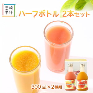 W[X 2{Zbg [{ʏ`] n[t{g2{Zbg(GM) }S[AO@o 300ml×e1{ /Mtg 蕨 {茧 t[cW[X ʕ t[c 썑{ gsJt[c }S[AO@