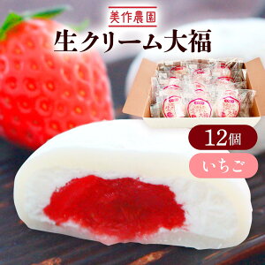 [_] 啟 N[啟() 12 /XC[c َq aَq fU[g 啟 䕑啟 aXC[c C`S