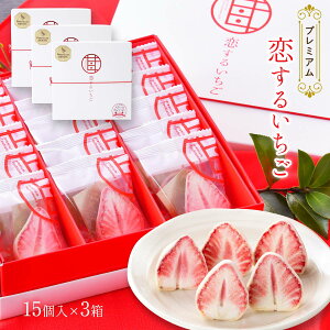 [Õ] َq 邢 v~A 15×3Zbg / ƂƂ  C`S  嗱 v~A 蕨 َq t[YhC `R[g yY Ȗ،