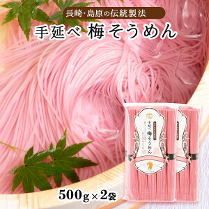 y10%OFF yVX[p[SALEz߂  2܃Zbg [̂] 艄ה~߂ 500g(50g×10)×2܃Zbg /˗   ~ f   yH ͂ 