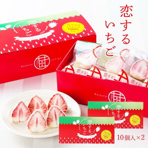 [Õ] َq 邢 10 Ԕ×2Zbg  ƂƂ  C`S  t[YhC `R[g yY Ȗ، َq