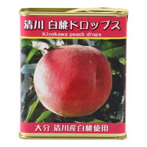  [ӂ邳ƕYٖs] 씒hbvX 80g /Y ̉w s  fU[g 啪 ʓ ǂ hbv  LfB[ 