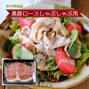 [G[Gt] ؓ ؃[XԂԗp 300g ̍  ؓ Ԃ  ₵ ₵ԃT_ Vu   XCX Ԃɂ T_ wV[ n {