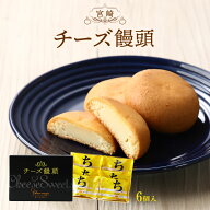 お菓子 [すえやま] 宮崎 チーズ饅頭 6個 /宮崎銘菓 人気 お土産 手土産 おみやげ チーズまんじゅう ちー…