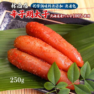  [яX] R a15NnƂ̘V яX̉wۑ YEF hqq(kCYq100%gp)250g