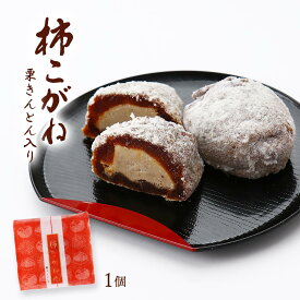 和菓子 送料無料 [國和産業] 柿こがね 1個入 /柿 柿菓房 かき 山柿庵 お茶うけ おやつ お土産 上品 個包装 柿菓子 おかし 干し柿 ぜいたく 栗きんとん ほしがき