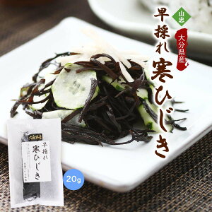  [R]  啪Y ̂ꊦЂ 20g /Ђ/C/V/̂Ђ/VH/qWL/ϕ/T_