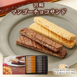 [^J] َq {}S[`RTh 20(v[&}S[×10A`R&}S[×10) / {茧 yY TNTN NbL[ }S[ {yY َq XC[c eB[^