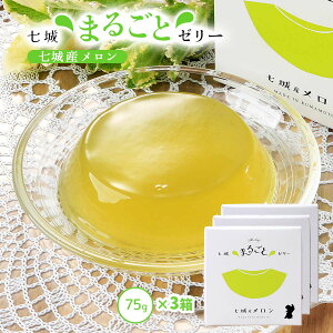 [[ [钬YiZ^[] [[ 75g×3Zbg/F{Y   ʕ t[c[[ fU[g  蕨