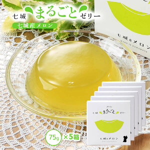 [[ [钬YiZ^[] [[ 75g×5Zbg /F{Y   ʕ t[c[[ fU[g  蕨