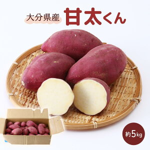 ܂ 5kg  [XJCt@[] 啪Y 񂽂 5kg y:12{`3{z/Tc}C ܈ Ñ Yn 啪Y Ă Ĉ XC[c XC[g|e