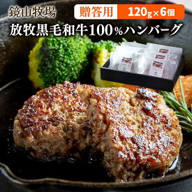 ギフト [鏡山牧場] 八崎牛ギフトF【贈答用】 放牧黒毛和牛100%ハンバーグ 120g×6個 /ギフト 贈り物 牛肉 牛 黒毛和牛 宮崎県 和牛 ハンバーグ 冷凍ハンバーグ 延岡市 九州 クラフト黒毛和牛
