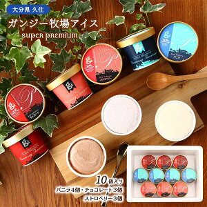  ACX Mtg F{ KW[qACX10 (oj×4A`REXgx[×e3) XC[c ACXN[ 啪 KW[ S[f~N v~A 䒆 