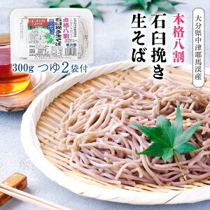 [͂΂]  {i ΉP҂ 300g 2ܕt /啪     \o V   {i  ΉP P҂  ①i nk Ώ