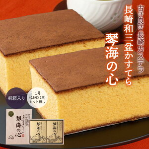 [ՊC] JXe aO~Ă uՊC̐Sv 1ؔ 0.5×2(580g) /茧 Ă caO~JXe 񂹃XC[c yY i Mtg ̕i
