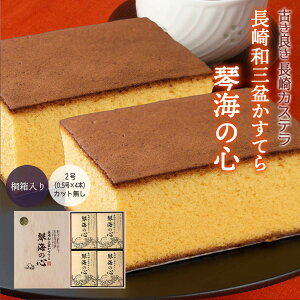[ՊC] JXe aO~Ă uՊC̐Sv 2ؔ 0.5×4(1160g) /茧 Ă caO~JXe 񂹃XC[c yY Mtg ̕i