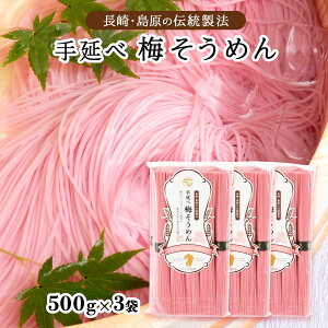 y10%OFF yVX[p[SALEz߂  3܃Zbg [̂] 艄ה~߂ 500g(50g×10)×3܃Zbg/ ˗   ~ f   yH ͂ 