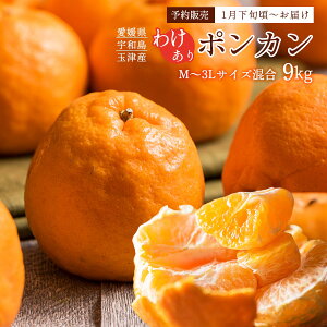 |J Q 󂠂 9kg y\F1{`zz [ʒÊky] ʕ |JE󂠂iE9kg M~3LTCY /݂ ۂ񂩂 󂠂i ƒp Q Fas ۂ񂩂 