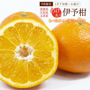 悩 Q 󂠂 4kg y\F1{`zz  [ʒÊky] ʕ ɗ\E󂠂iE4kg L~4LTCY /悩 󂠂i ƒp Q Fas k Â ₩