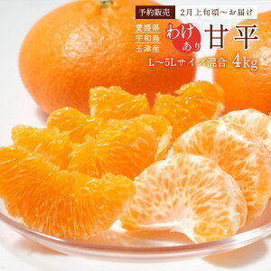 ݂ Q 󂠂 4kg y\F2{`zz  [ʒÊky] ʕ ÕE󂠂iE4kg L~5LTCY /~J k ؂ Q Fas Ai ʒÃuh 