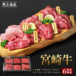 {苍 [Hi] {苍6퐷 ē 600g (100g×6 EfԐgAEfJrAEfNAEf~XWAEfOpAƂ炵) /Mtg OMtg  Ε ̓ ̓ qǂ̓ a