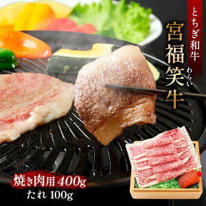 [~] ē {炢(Ƃa) Ă 400gA 100g /蕨 Mtg  Ε ̓ ̓ qǂ̓ ΘJӂ̓ hV̓ A  a Y ē Ă O