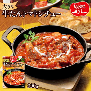 V`[ [v] 傫ȋg}gV`[ 300g /gg y O ^ ggJ[ ggHi Z ȒP