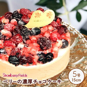 [StrawberryFields] P[L x[Z`RP[L 515cma 1(500g) /Xgx[tB[Y t[c `R[gP[L N~ mَq fU[g a v[g P[L