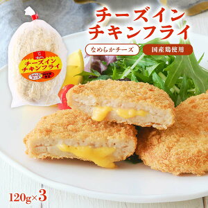 [{Gkt[Y] y `[YC`LtC 120g×3 /ȒP ֗  ܂ {茧 `L { tC g  ٓ { {tC `[YC lCj[ tC TNTN 