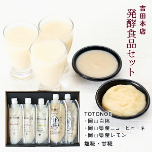 Î  [gc{X] Mtg yMtgzyHiZbg TOTONOERATOTONOERYj[sI[lATOTONOERY e180g×1{Ay[XgAY