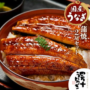 y10%OFF yVX[p[SALEz[l\Ȃ̔]  2Zbg (110g ܃^t ^pbN×2) /EiM Ȃ ăMtg   yp̉N̓ NNn ~Mtg 