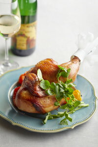 [Ԃǂ̎] MtgZbg VFtB{̃[Xg`L ([Xg`L(1/2H)×1) /[Xg`L Ƃ VFt NX}X p[eB C Ԃǂ̖ 