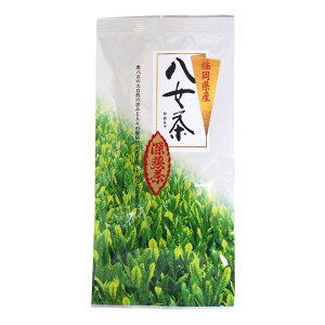 [쐻{] t [ 100g /t ̗t Β    蕨 ̗t