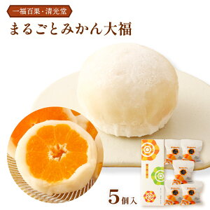 [ꕟSʁE] َq ꕟSʂ܂邲Ƃ݂啟 5 /aَq 啟 t[c啟 啟 l yY A yY Q ݂  k aَq aXC[c fU[g 