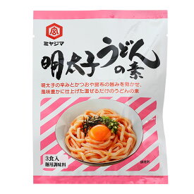[宮島醤油] 調味料 明太子うどんの素 60g(20g×3食) /簡単 便利 うどん 時短料理 うどんスープ だし 混ぜるだけ 調味料 明太うどん 3食入り 風味豊か 明太クリームうどん 明太だし巻き卵