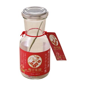 JNȇf [J] ~̓{JNe 17g /~ { JNe HO L[ ~ ~ {Lbh Mtg v`Mtg o j v[g R