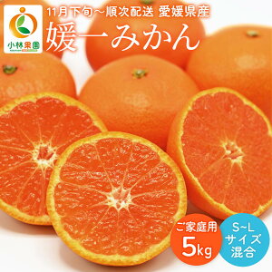 QY݂ 5kg  [_Ղ炷Q] Q݂ ƒp 5kg(S`L) y11{`zz/B݂ 񂵂イ ݂ Q щʉ _Ղ炷 Q IWiuh ƒ