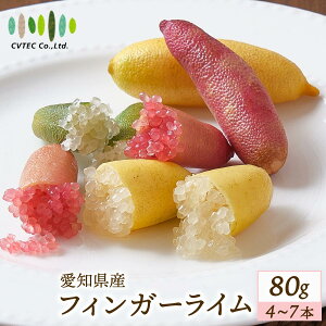  [V[CebN] tBK[C 80g(4`7{) y:7{珇z/Y X̃LrA CX^f k  tBK[C v`v`H ʓ lC t