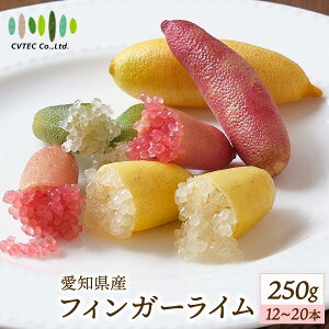  [V[CebN] tBK[C 250g(12`20{) y:7{珇z/Y X̃LrA CX^f k  tBK[C v`v`H ʓ lC t