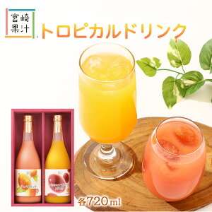 W[X [{ʏ`] {ʏ` hN2{Zbg(GEP) 720ml /B {  hN ʏ` t[c Mtg O@o pbVt[c r^~C H@ h{Lx e 蕨 Mt