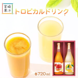 W[X [{ʏ`] hN 2{Zbg(MH)(}S[E e720ml) / }S[W[X }S[ ăW[X ЂイȂ Z Z  q lC v[g Mtg {茧 