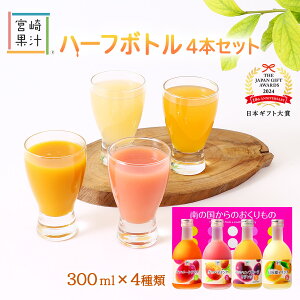 W[X [{ʏ`] n[t{g 4{Zbg(H-C)(}S[EāEO@oEpbVt[c e300ml) / Z Z  q lC v[g Mtg {茧 n {Mtg 20