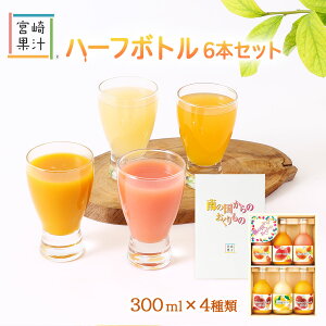 W[X [{ʏ`] {ʏ` n[t{g6{Zbg(H-A) 300ml /B {  hN ʏ` t[c Mtg 썑 O@o }S[ pbVt[c 