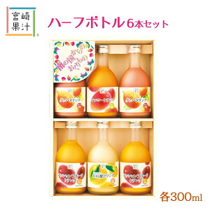 W[X [{ʏ`] {ʏ` n[t{g6{Zbg(H-A) 300ml /B {  hN ʏ` t[c Mtg 썑 O@o }S[ pbVt[c 