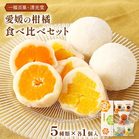 [一福百果・清光堂] 菓子 愛媛の柑橘食べ比べセット 5個入り(みかん1個、小太郎みかん 1個、甘夏 1個、島八朔 1個、紅まどんな 1個) /和菓子 大福 フルーツ大福 蜜柑大福 詰合せ お土産 ご挨拶 手土産 愛媛県 みかん 蜜柑 柑橘 和菓子 和スイーツ デザート おやつ