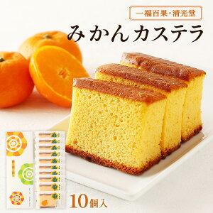 [ꕟSʁE] َq ݂JXe 10 /aَq aَq  aَqEl t[c啟 yY A yY Q  ݂  k aXC[c fU[g  