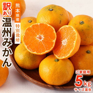 󂠂艷B݂ 5kg [t@[IsA] 󂠂F{Yʍ͔| B݂ 5kg y:12{`zz/t[c ݂ Y F{Y ʍ͔| ~G̔ Yn VN 