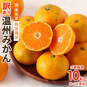 󂠂艷B݂ 10kg [t@[IsA] 󂠂F{Yʍ͔| B݂ 10kg y:12{`zz/t[c ݂ Y F{Y ʍ͔| ~G̔ Yn VN 