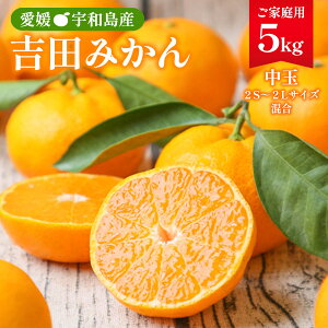 Q݂ 5kg [tbV] gc݂ ƒp 5kg y:9{`z/ ʕ t[c B݂ ~J Q Fa Yn {̖o gc݂ Fa݂ ƒ